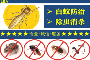 专业消杀除虫除蚁 为您打造无虫害的舒适家园