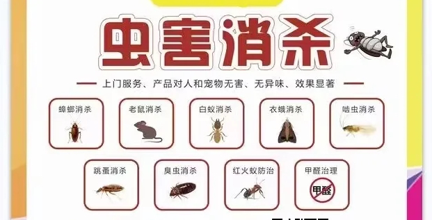 探讨深圳灭虫公司上门除衣蛾怎么收费?衣蛾怎么除?